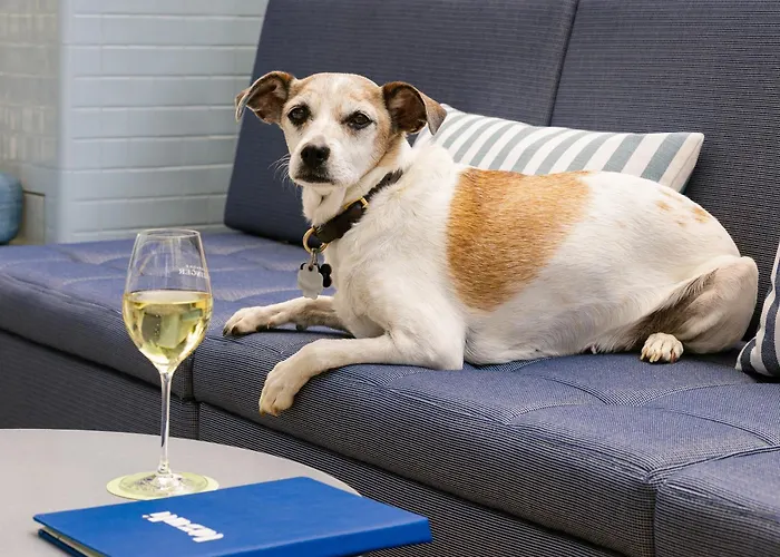 Kimpton Main Frankfurt By Ihg 5* Frankfurt nad Menem